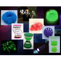 Antistress und Glow in The Dark Starter Kit