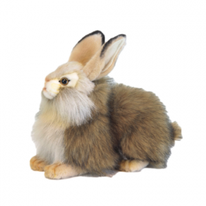 Kuscheltier Hase - Weißes Kaninchen mit Gelbbraun - 25 cm - Lebensecht - Plüschkuscheltiere - Hansa