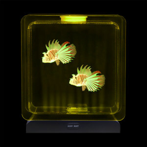 Aquarienquadrat – 2 tropische Fische