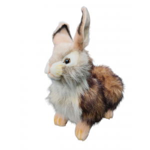 Kuscheltier Hase - Weißes Kaninchen mit Gelbbraun - 25 cm - Lebensecht - Plüschkuscheltiere - Hansa